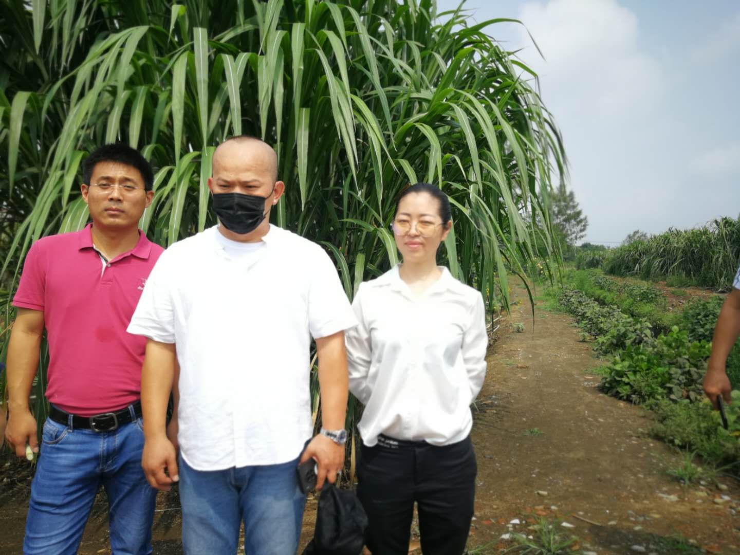 各地党政企业领导在烈日和暴雨下考察金牧粮草品牌系列产业链项目