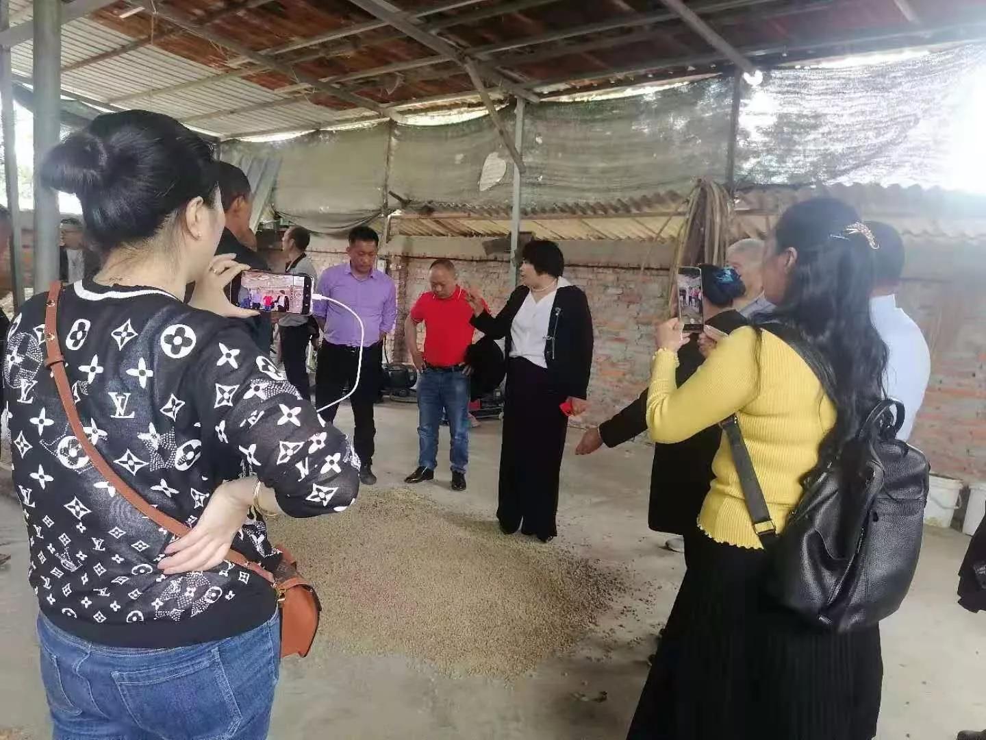 泸州市18个村党支部书记到大邑金牧粮草基地参观学习