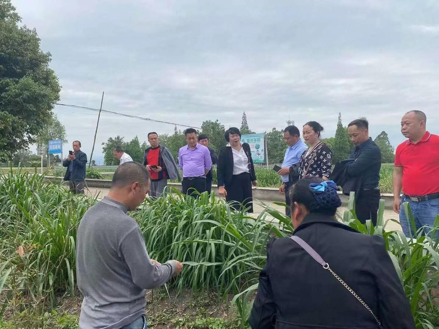 泸州市18个村党支部书记到大邑金牧粮草基地参观学习