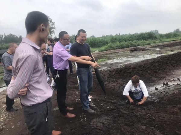20190615 三市领导参观金牧源-2.jpg