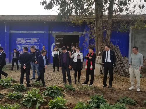 微信图片_20190403094554.jpg