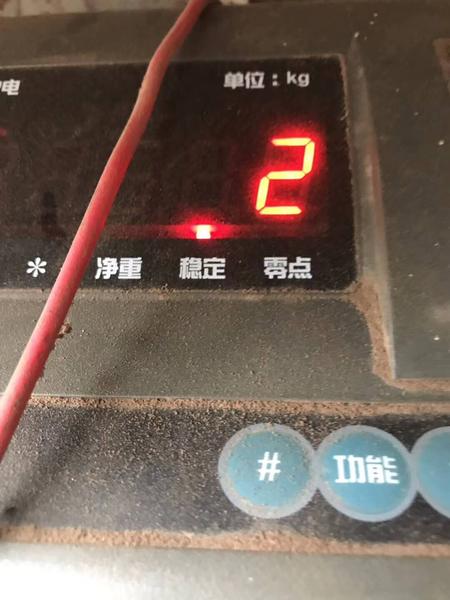20190602 牧草-4.jpg