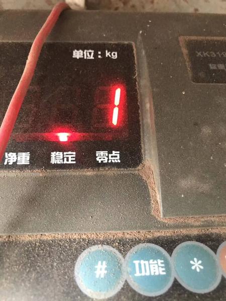 20190602 牧草-3.jpg