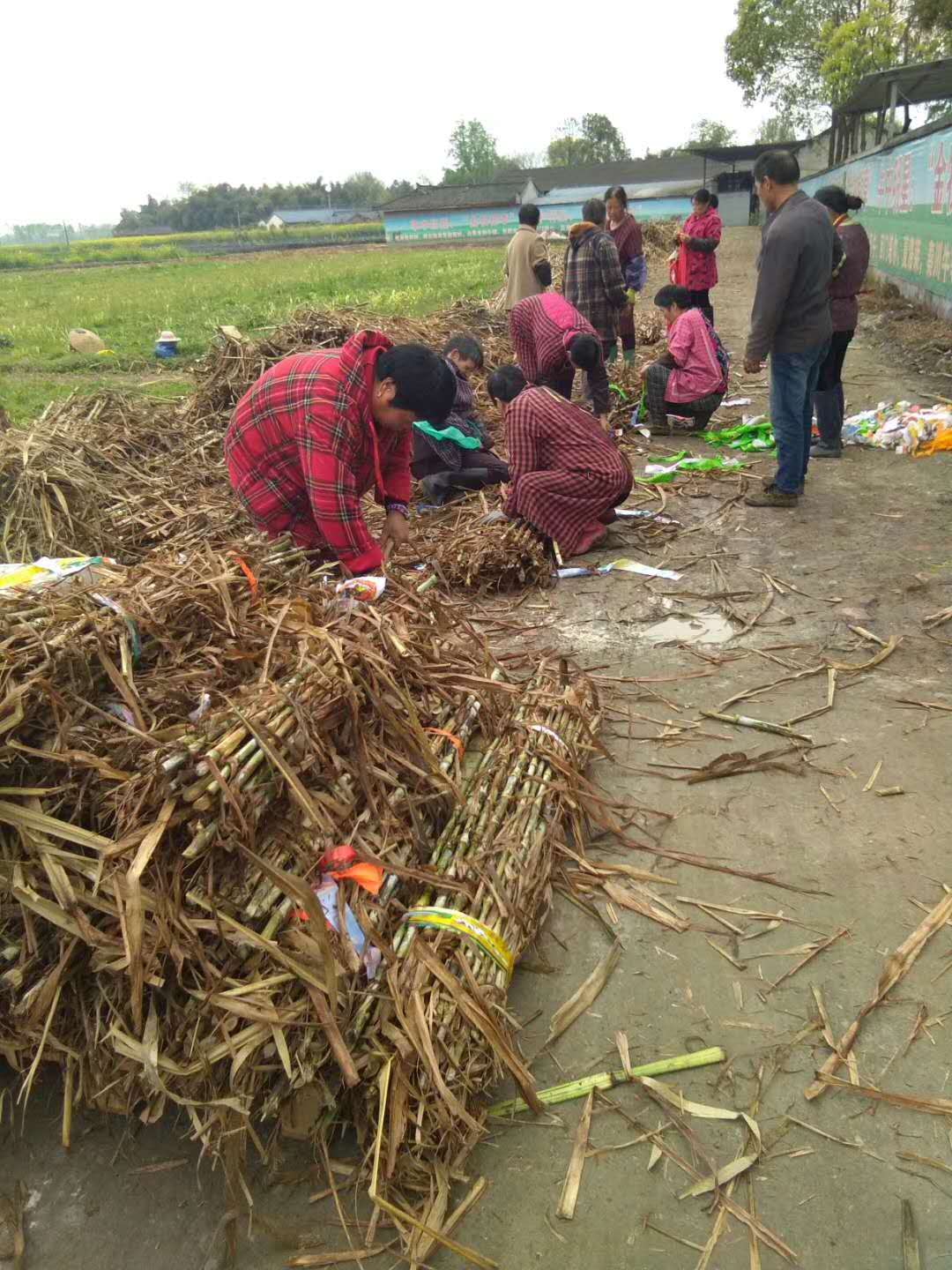 微信图片_20190403095603.jpg