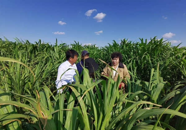 一个新农人的国家生态公园梦想 - 金牧源种植专业合作社,蚯蚓